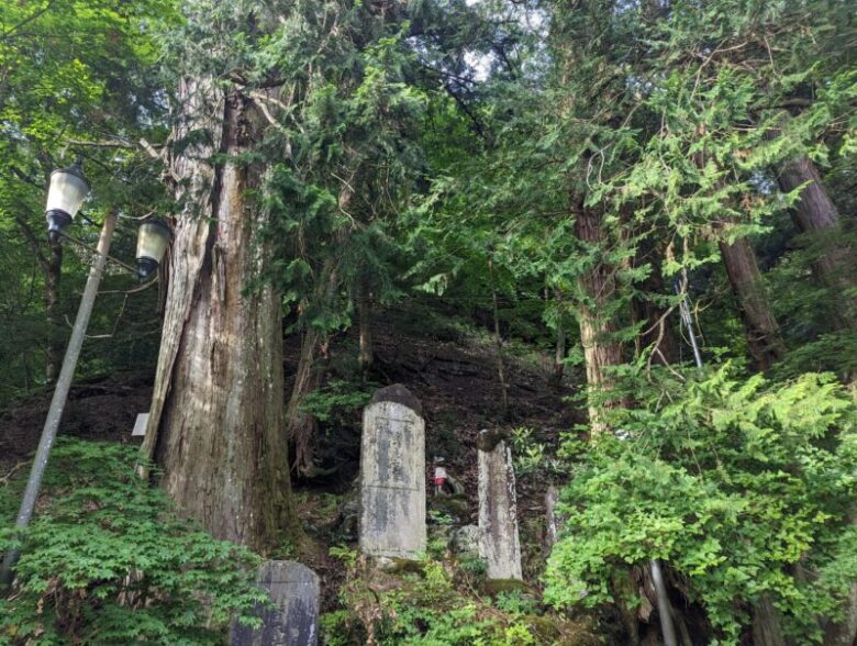 三峯表参道の森