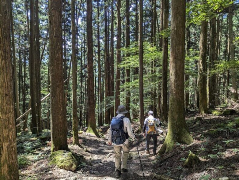 山道を歩くシニア女性のイメージ